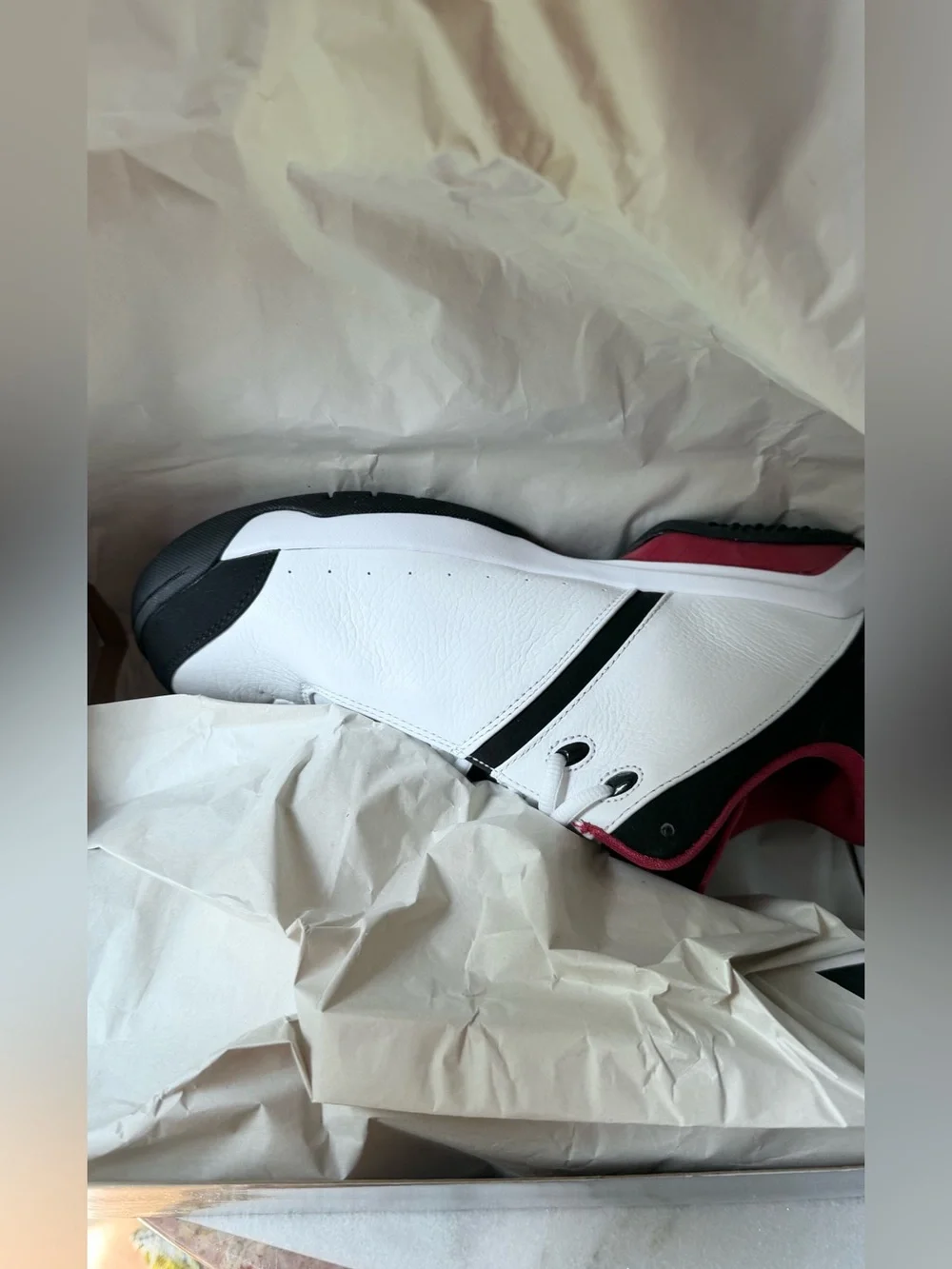 Nike Jordan Team Reign Low sneakers in a white, black, and red colorway,